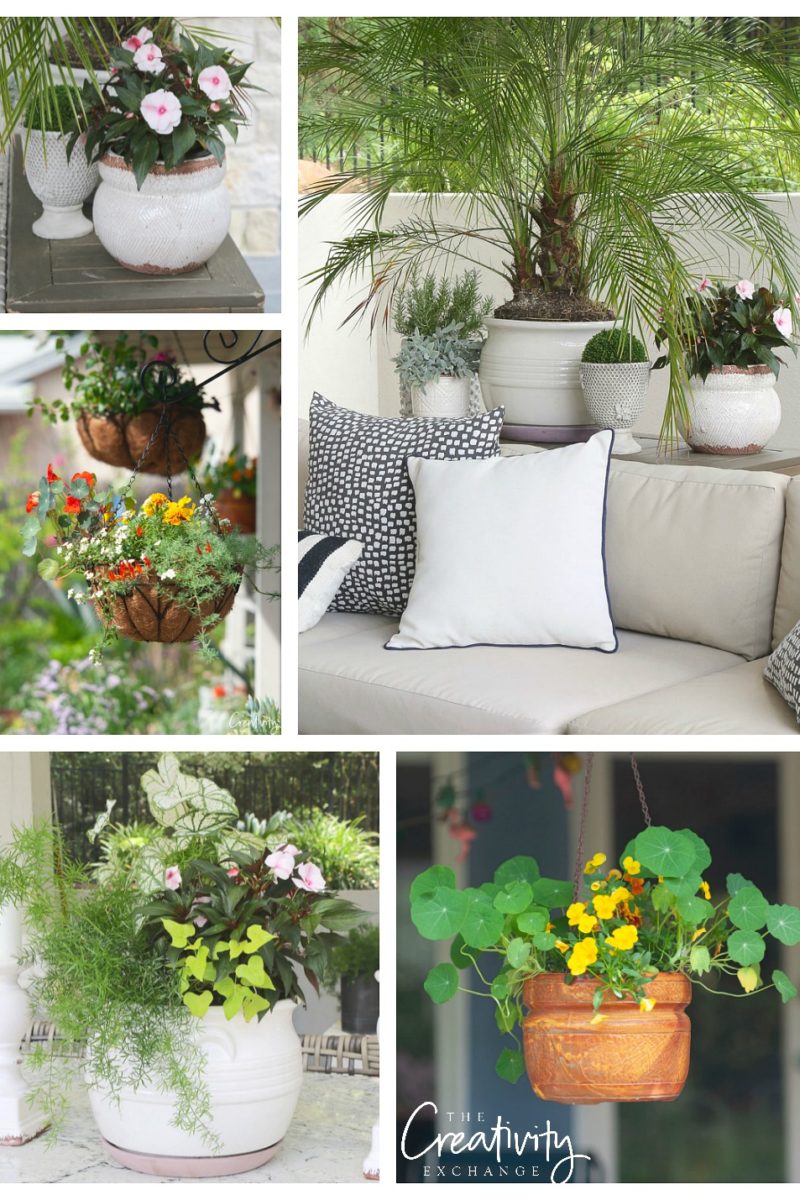 Creative garden pot ideas